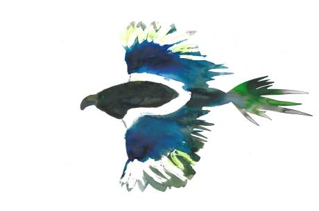 Magpie by Myfanwy Tristram