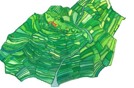 Paddyfields by Myfanwy Tristram