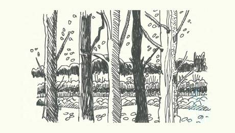 Trees by Myfanwy Tristram