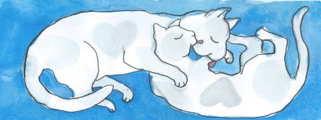 valentines cats by Myfanwy Trsitram