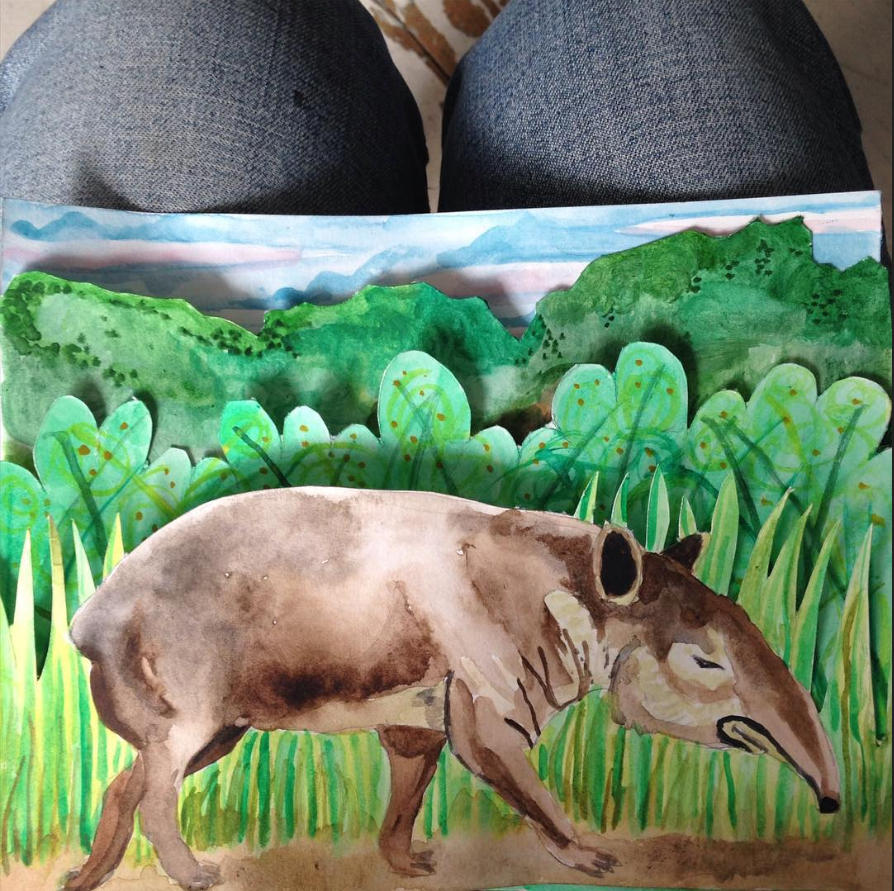 tapir card by Myfanwy Tristram