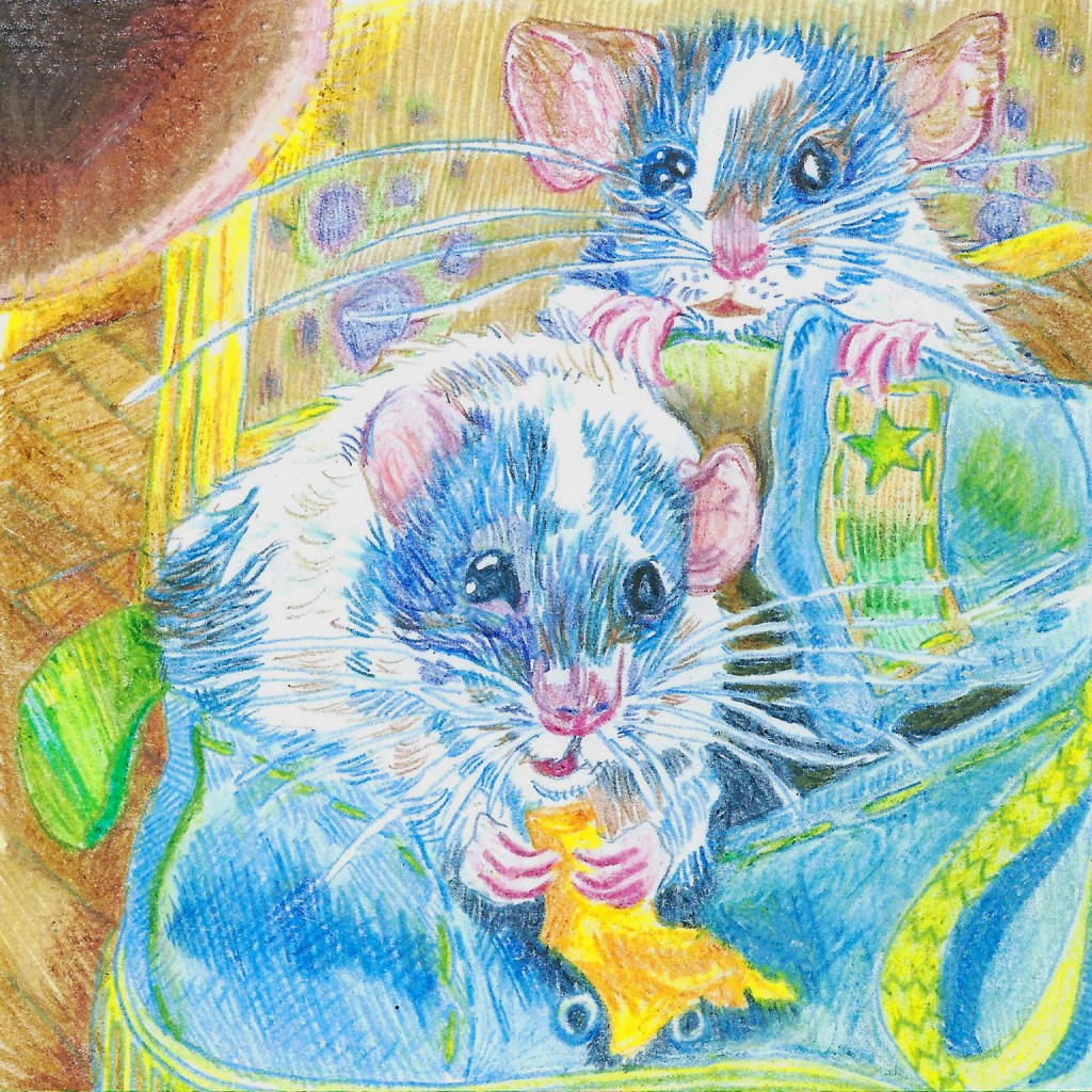 rats-drawn-in-pencil-crayon-by-myfanwy-tristram-scan-showing-errors