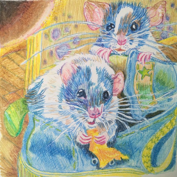 rats drawn in pencil crayon by Myfanwy Tristram - photo