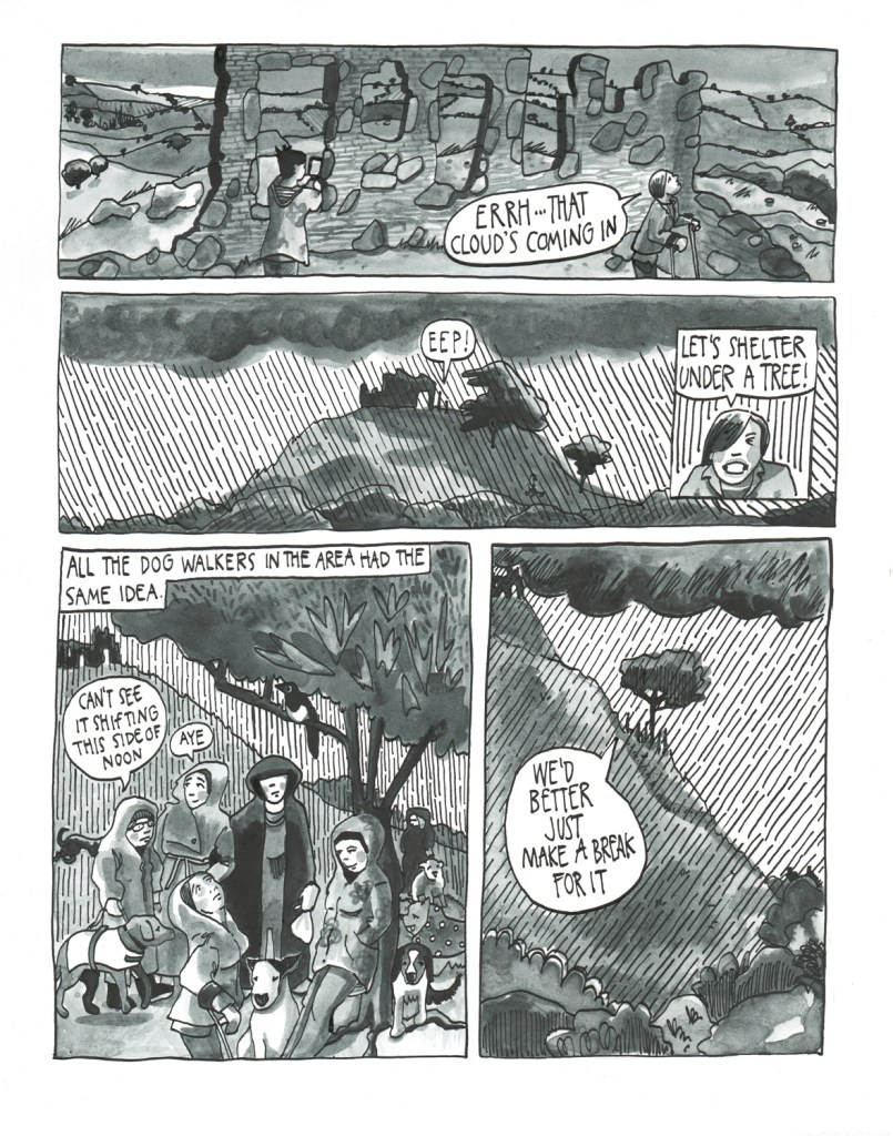 Ladies of the Lakes by Myfanwy Trsitram p 20