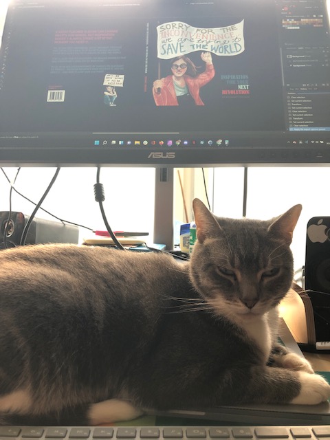 A silver tabby cat sits in front of a computer monitor, where a book cover is open on an image editing program. The cat has his eyes half closed and looks satisfied.