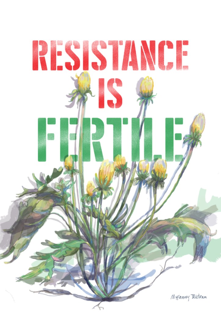Resistance is fertile - a bolting dandelion plant

